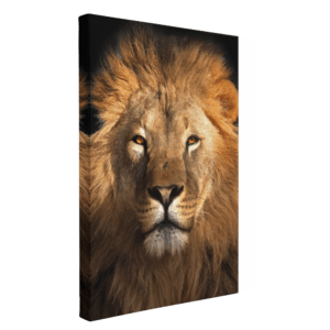 lienzo-negro-y-dorado-leon