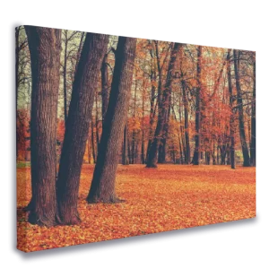 venta-lienzo-impreso-otono