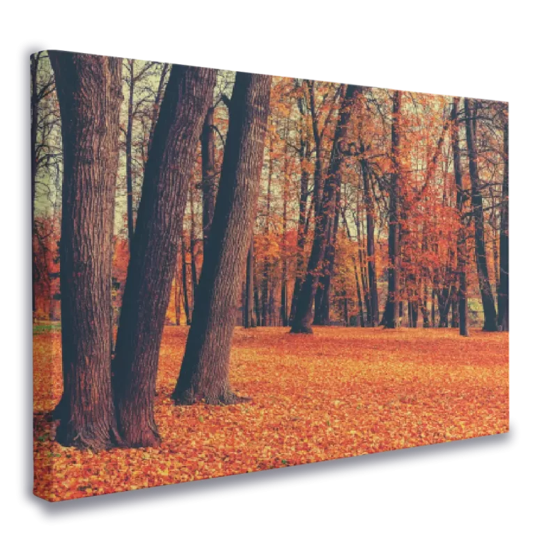 venta-lienzo-impreso-otono