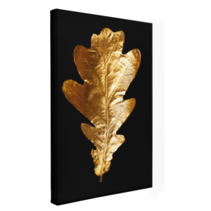 lienzo-decorativo-negro-con-dorado