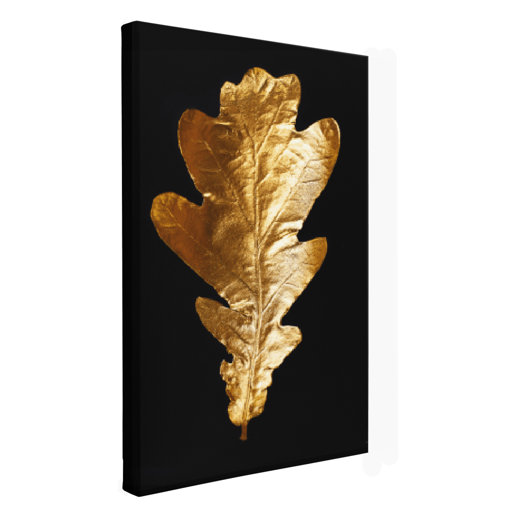 lienzo-decorativo-negro-con-dorado